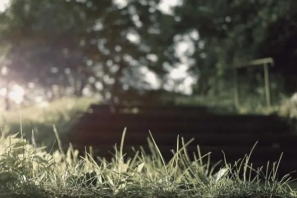 E-commerce Platform for Local Artisans